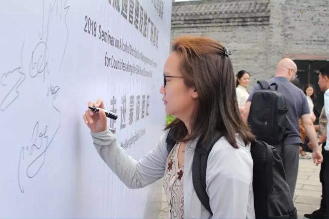 中国gdp经济增长图_2018中国白酒gdp