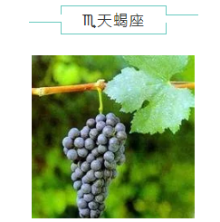 什么是黑色生命力 20180825111649_6645.png