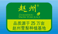 赵州雪梨汁