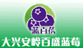 百盛蓝莓果汁