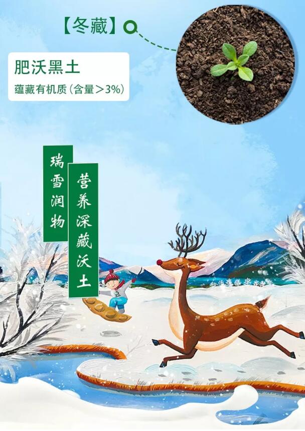 春播,夏长,秋收,冬藏,"长白山四季孕育自然好豆",为了能让消费者直观